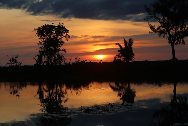 Coucher de soleil aux teintes orange et dorées avec des silhouettes d'arbres et de palmiers se reflétant sur une eau calme.