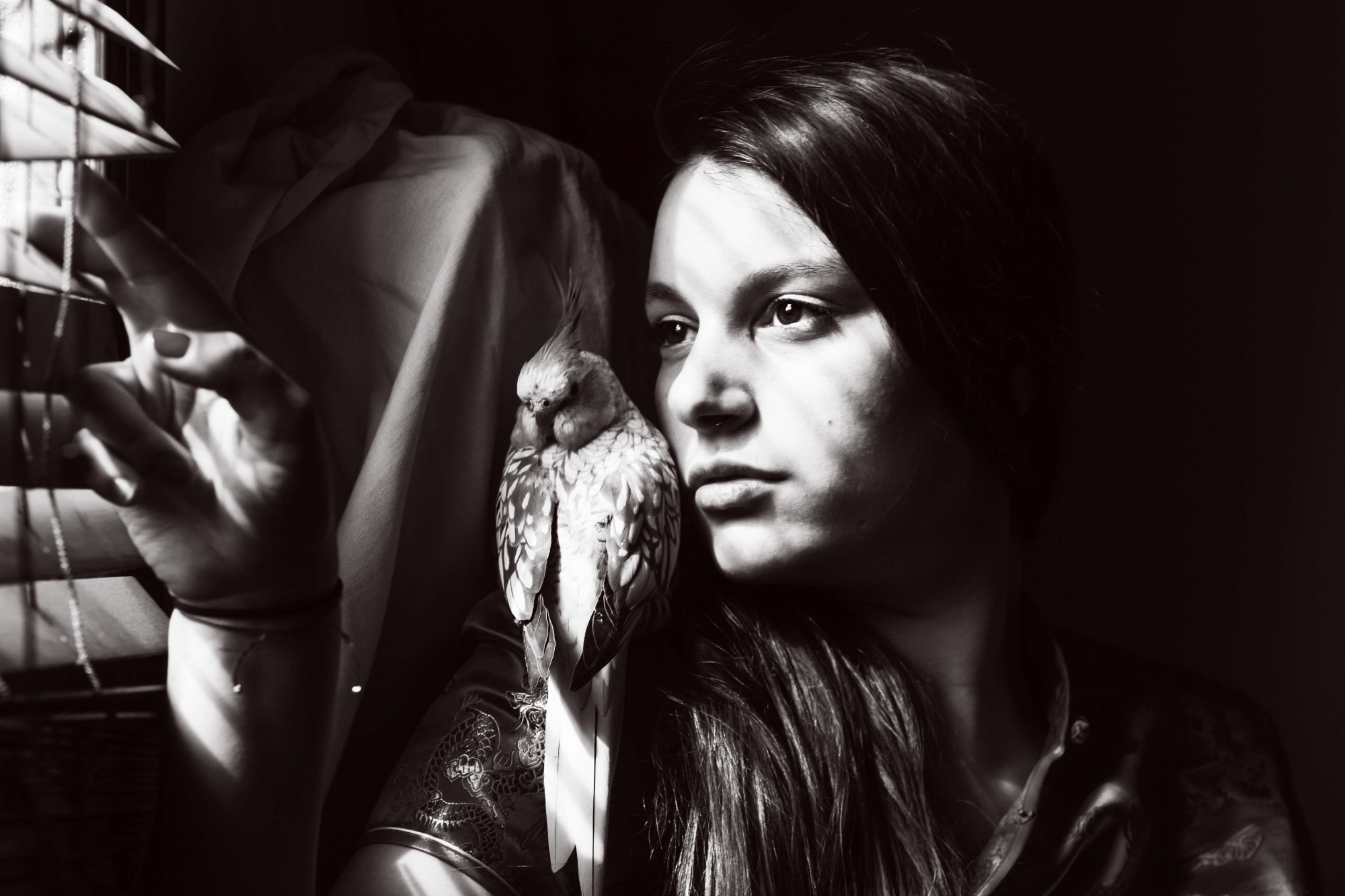 Portrait en noir et blanc d'une jeune femme avec un oiseau sur l'épaule regardant à travers des persiennes.